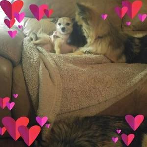 Meet your Posher, Cheryl